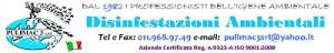 Pulimac3srl.com